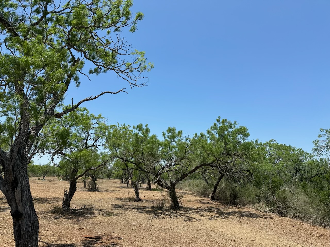 Land features
