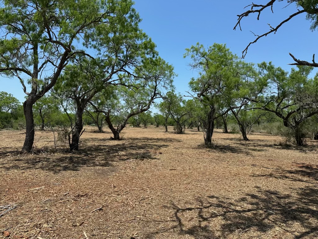 Scenic view of the property