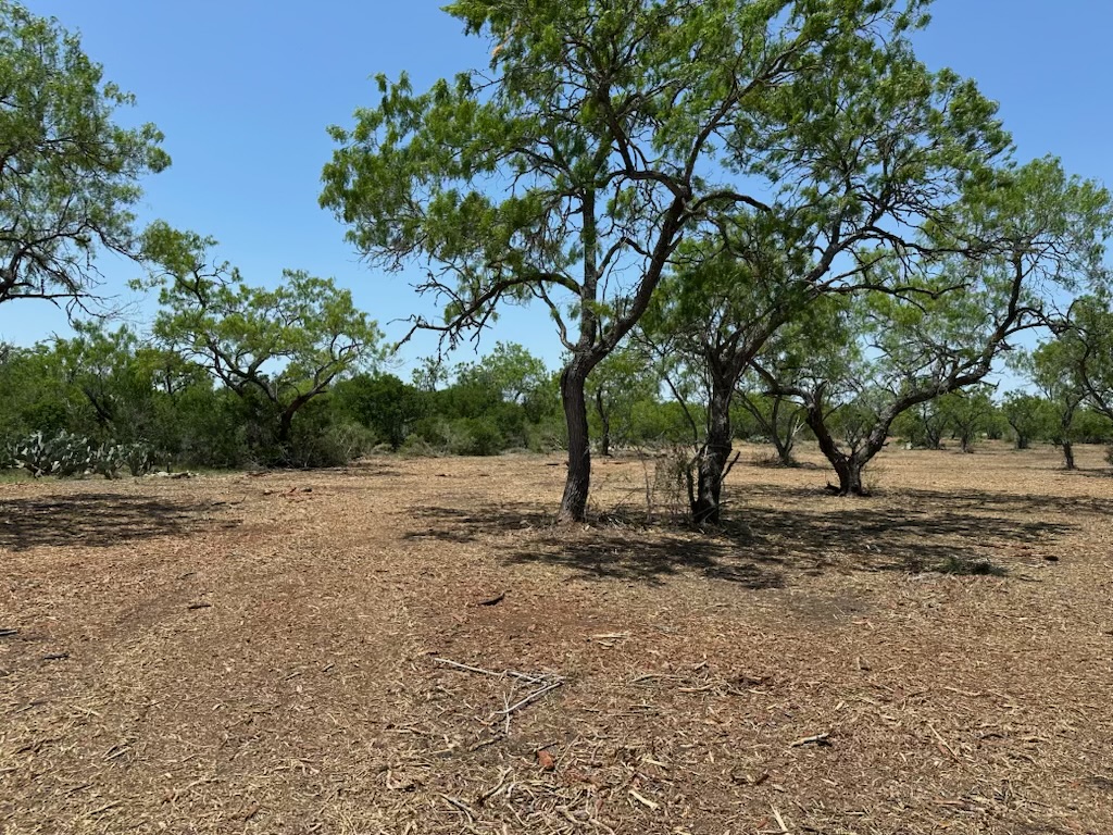 Property landscape