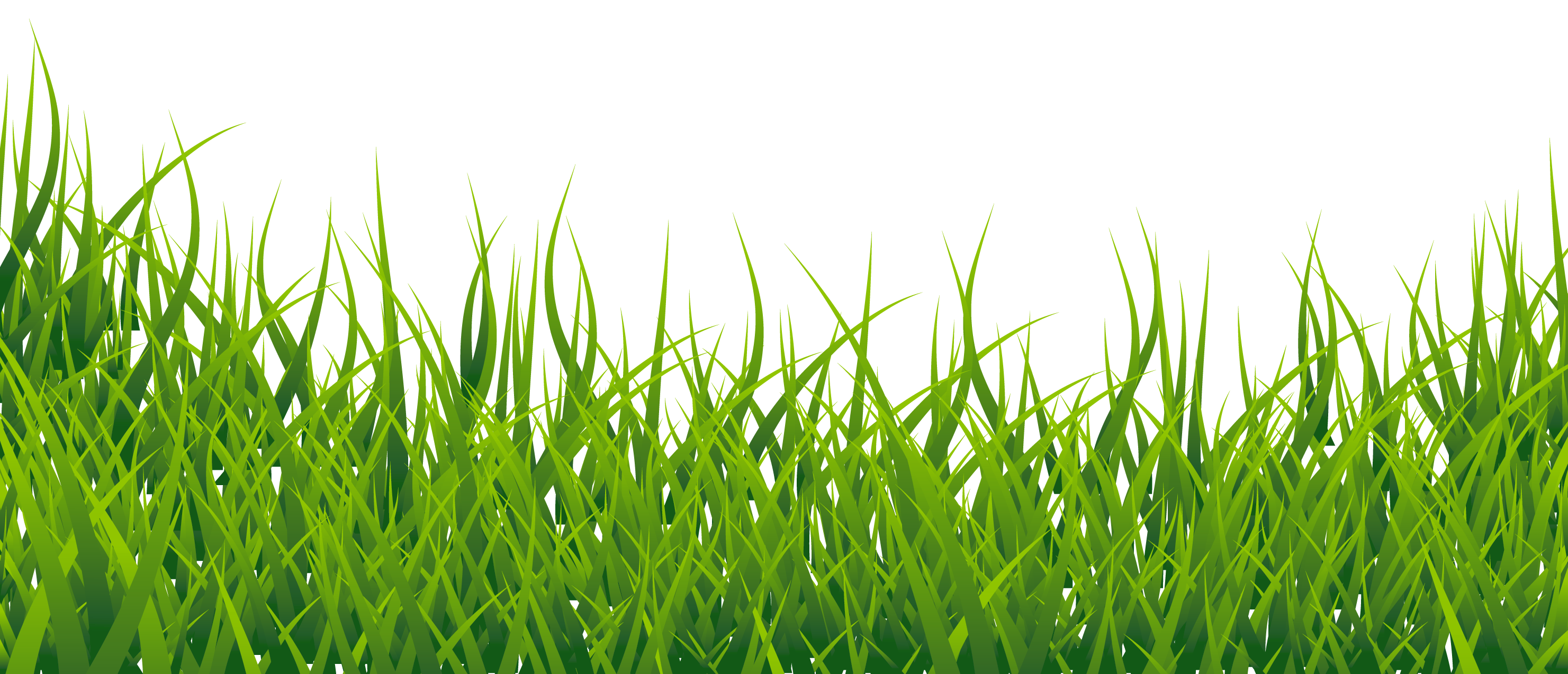 Grass Border