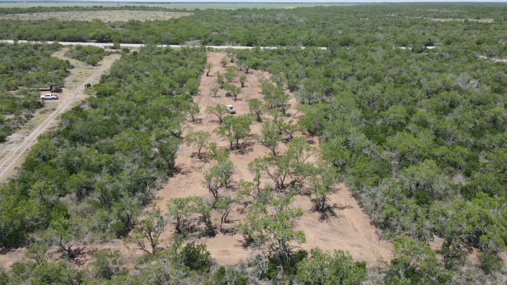 Another aerial view of Papaws Land